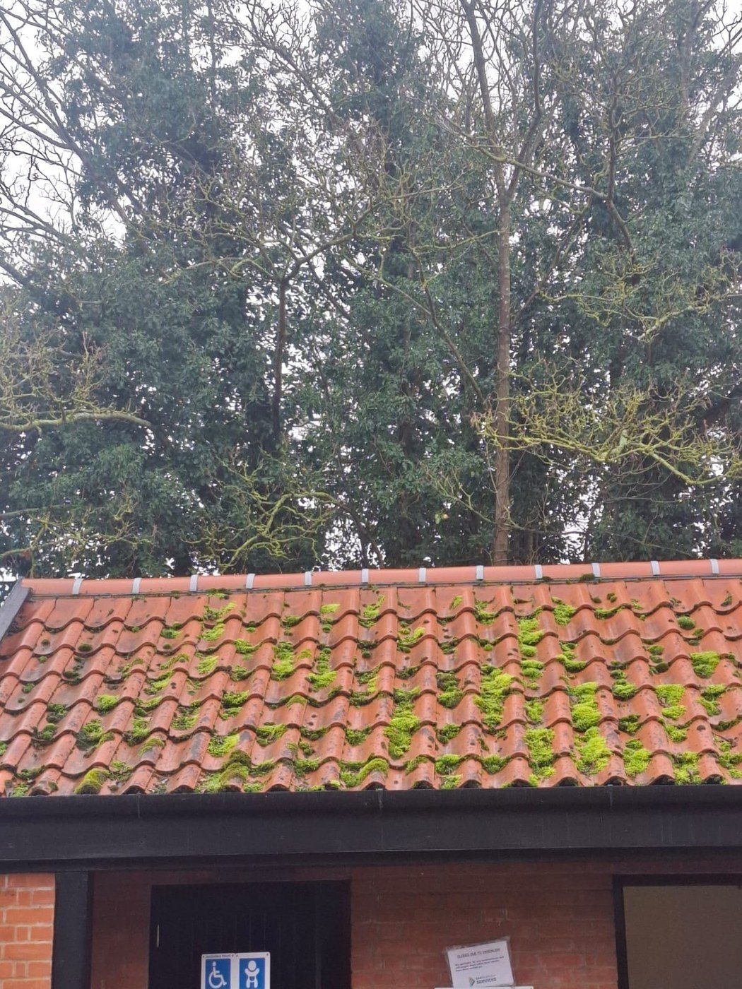 Public toilet block with moss-covered roof tiles before Eastrada soft-wash treatment